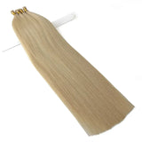 Light Ash Blonde #22  25G Itip Hair