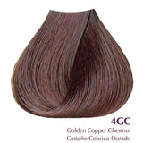 Satin-  Golden Cooper Chestnut 4GC